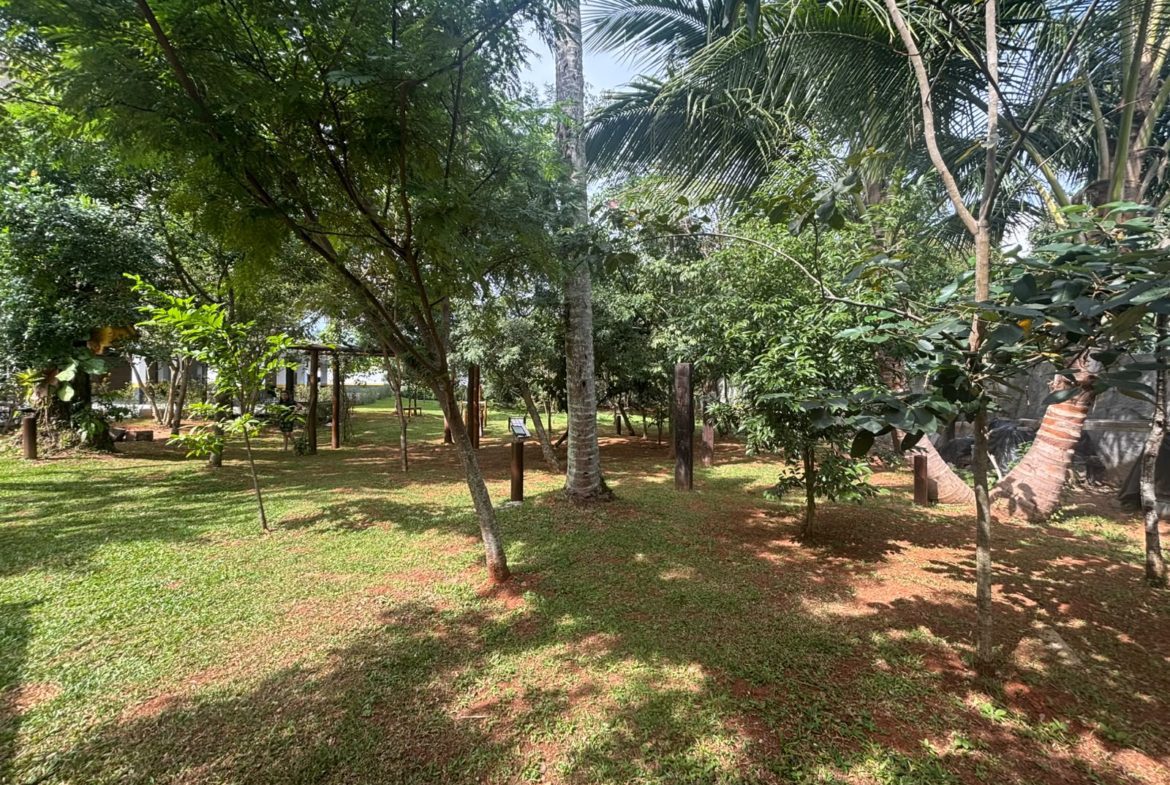 Área verde arborizada próxima ao condomínio