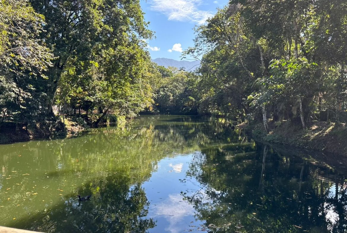 Lago do Condomínio Park Hills