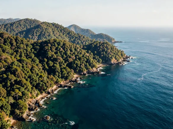 investir em imóveis em Ubatuba Vista aérea de Ubatuba com orla e vegetação