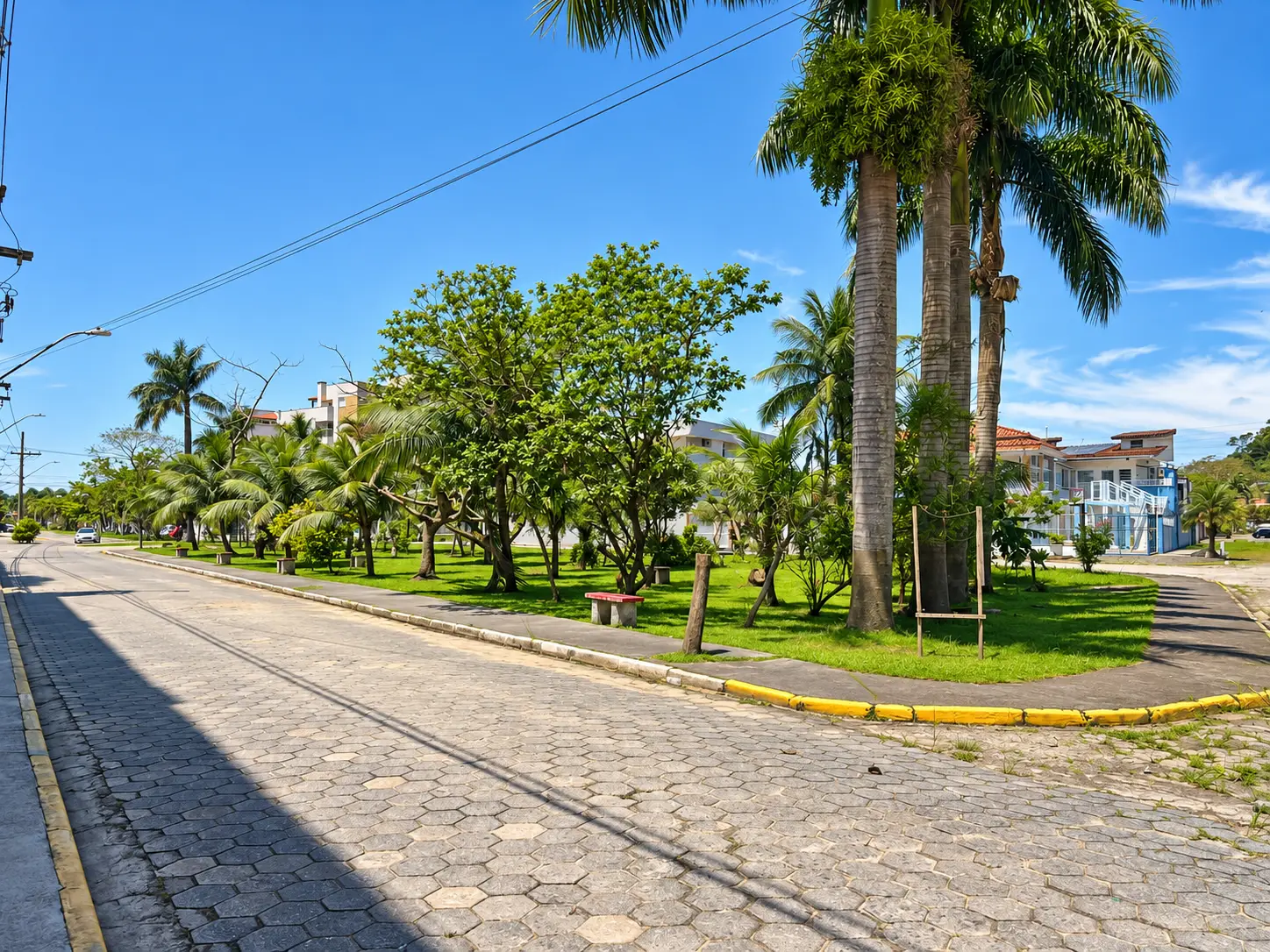 apartamento-praia-grande-rua Rua arborizada da Praia Grande, em Ubatuba, com palmeiras, calçada e área verde.